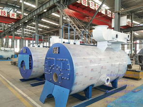 哈爾濱熱水供暖鍋爐2噸常壓燃氣鍋爐與LNG低溫常壓儲罐的技術解析及應用